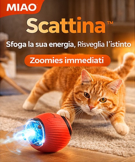 MIAO™ Scattina
